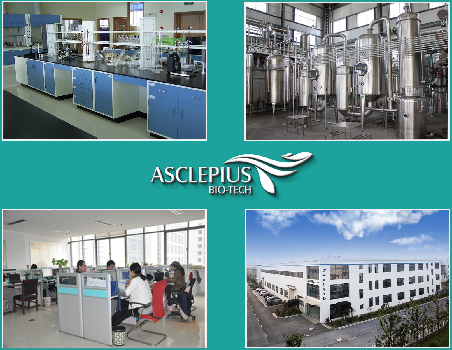 plant extract supplier 6.jpg