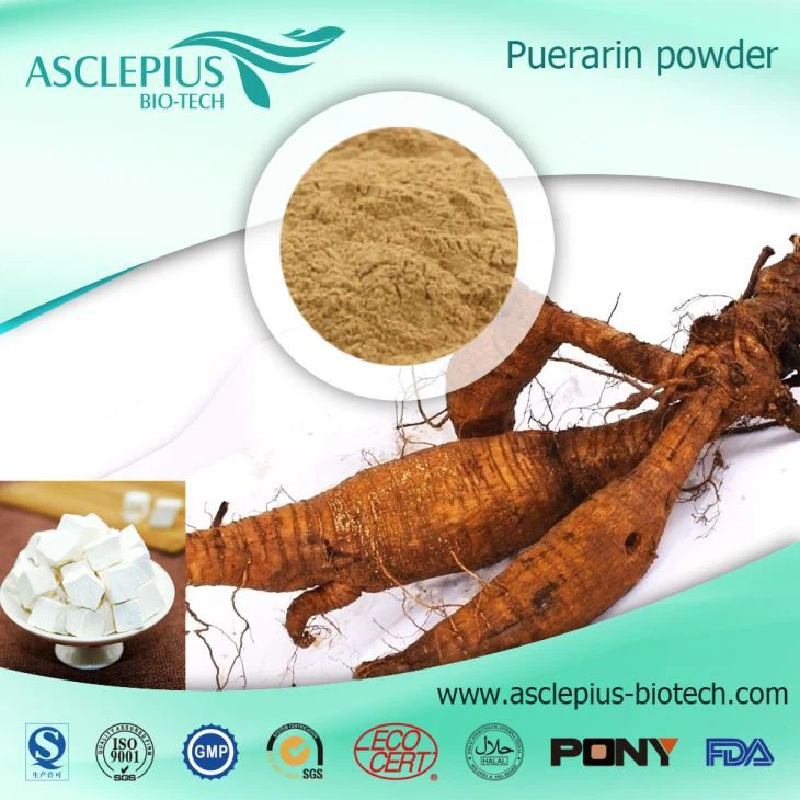 Lieferant von Pueraria-Extraktpulver im Großhandel / einschließlich Puerarin, Daidzin, Daidzein