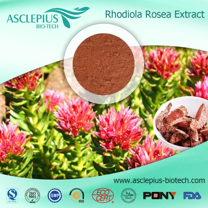 Rhodiola Rosea Extract Supplier Wholesale /the Active Ingrediants Is Rosavin,salidroside