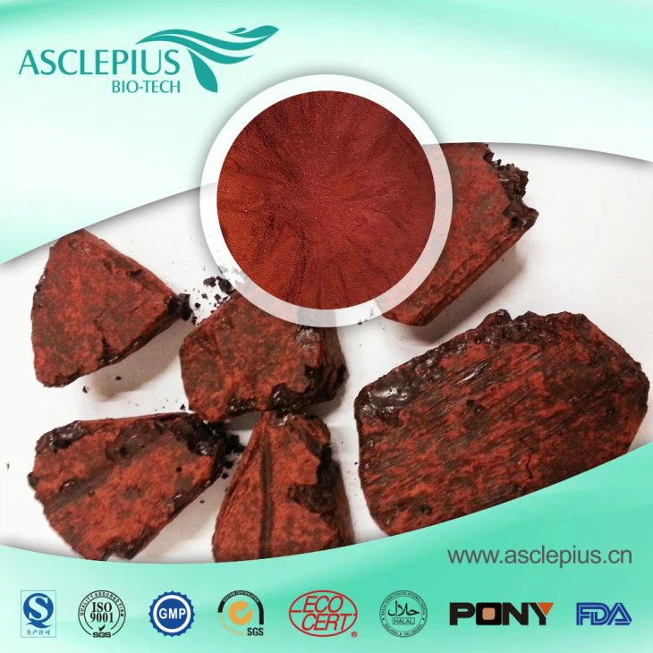 Dragons Blood Regin Extract Powder Supplier