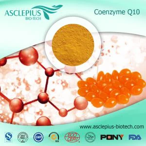 Lieferant von Coenzym-Q10-Ergänzungsmitteln im Großhandel