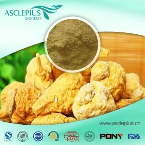 Lieferant von Maca-Wurzelextrakt-Pulver im Großhandel