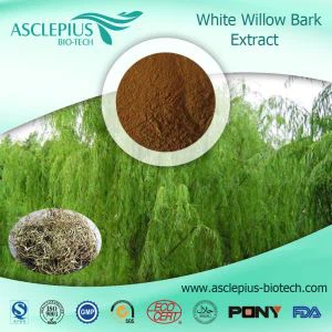 Weißes Weidenrindenextrakt-Pulver, Salicin-Lieferant im Großhandel