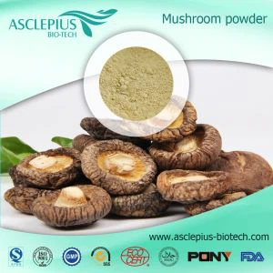 Shiitake-Pilz-Extrakt-Pulver, Bio-Shiitake-Pilz-Pulver Lieferant im Großhandel