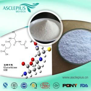 L-Glutamin-Pulver-Ergänzungsmittel Lieferant im Großhandel