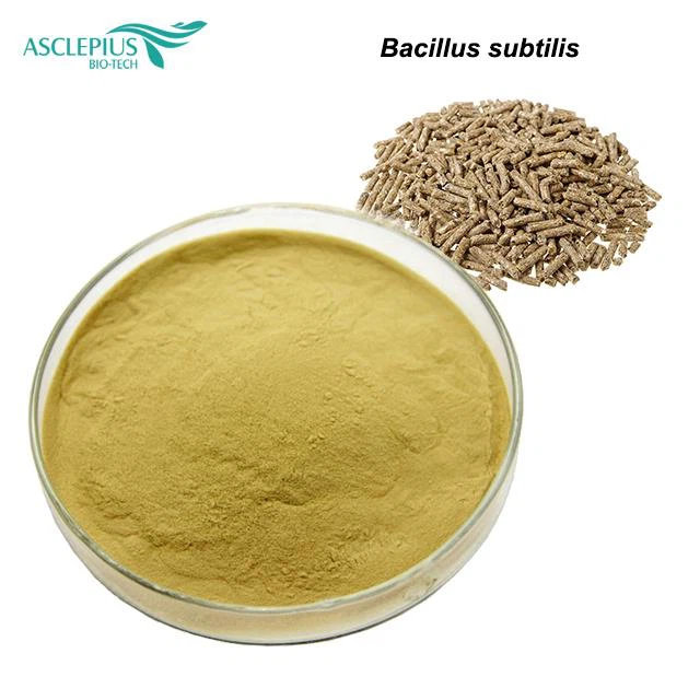 Bacillus Subtilis Fermentationsbakterien/Bacillus Subtilis Fungizid